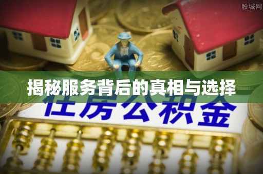 麦积揭秘服务背后的真相与选择